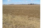 Property photo 35 - 127 Acres Offered in 4 Tracts